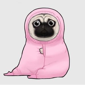 Meet your Posher, Bing